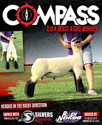 Compass