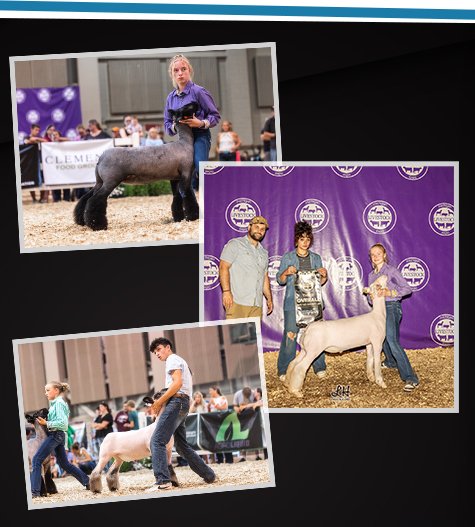 Craig Family Livestock
