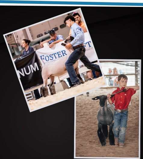 Craig Family Livestock