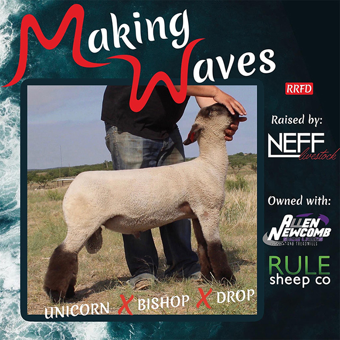 Making Waves